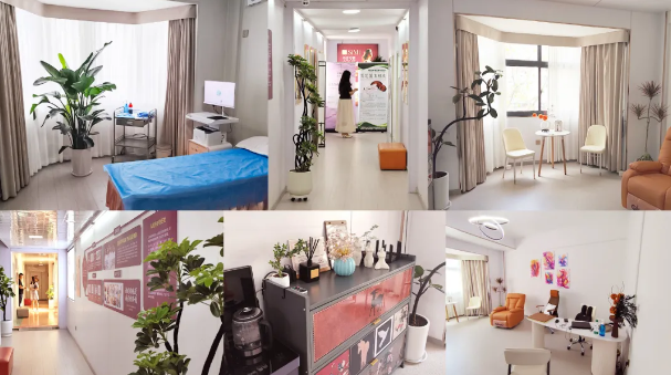 ��������ҽԺ˽��������˥����